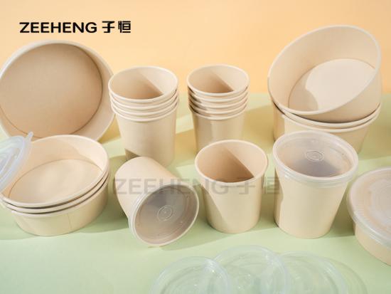 biodegradable bowls with lids